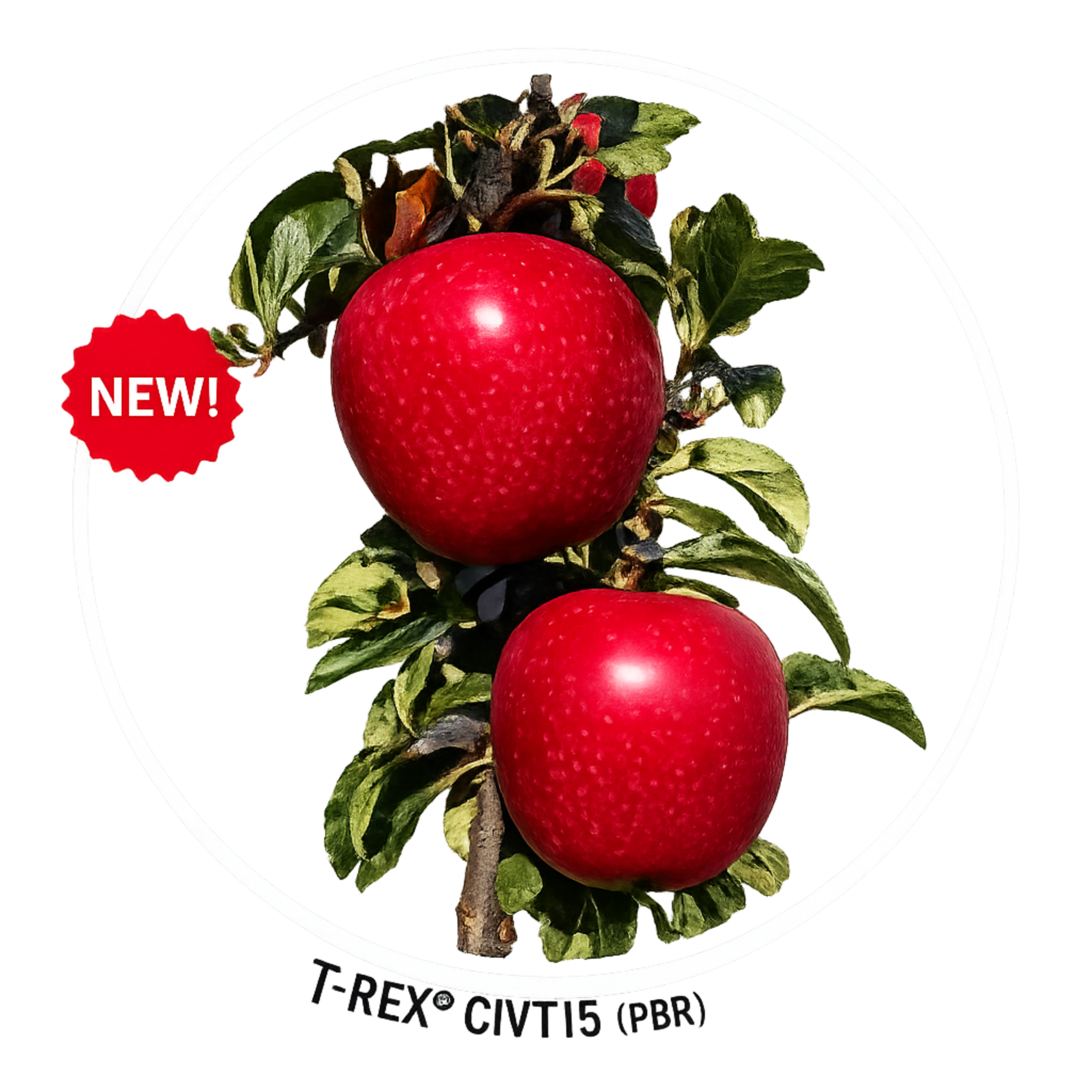 T-Rex CIVT15 apple