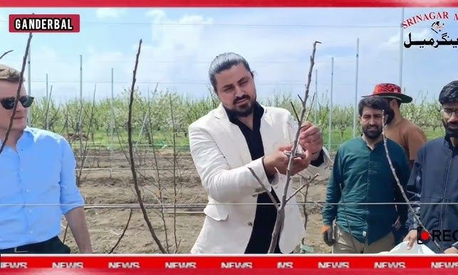 Hamayun Shabir featured during orchard field coverage